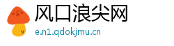 风口浪尖网